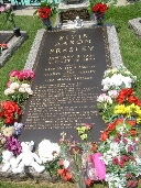 DSC06302.JPG (187755 bytes)